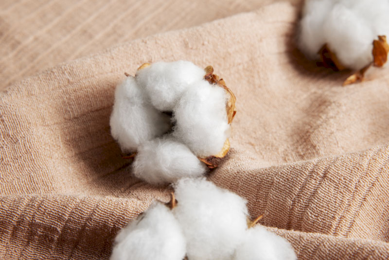 clothing manufacturing
